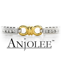 Double Circle Channel Bracelet